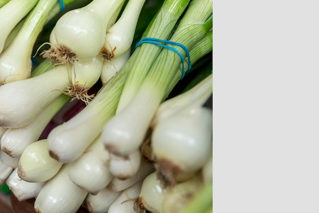 Manojo de cebollas verdes frescas en el mostrador Comida saludable vegetarianos y vitaminas Primer espacio para texto sobre un fondo gris claro