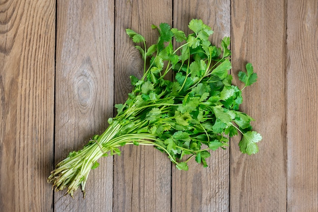 Manojo de cilantro crudo fresco sobre fondo de madera