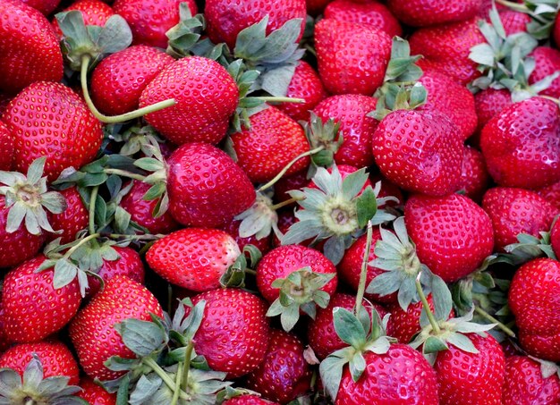 un manojo de fresas maduras