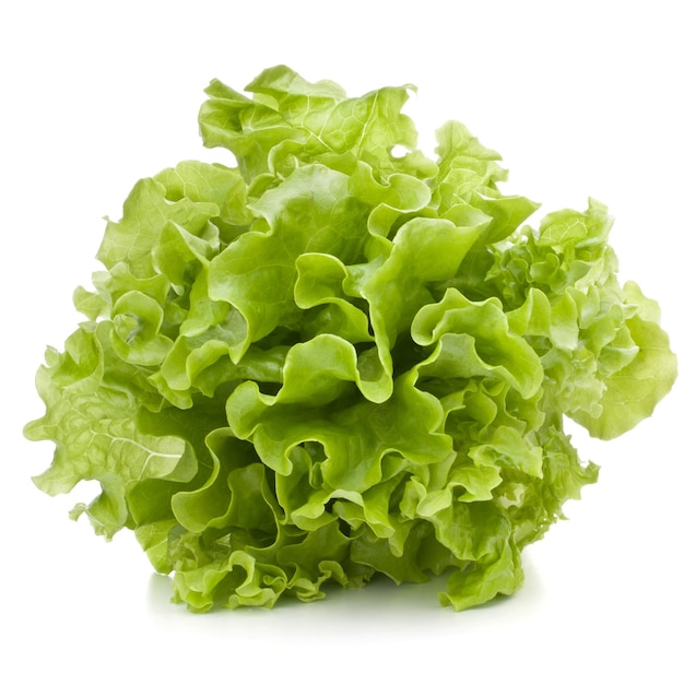 Foto manojo de hojas de ensalada de lechuga fresca