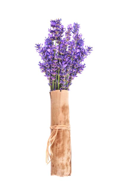 Manojo de lavanda