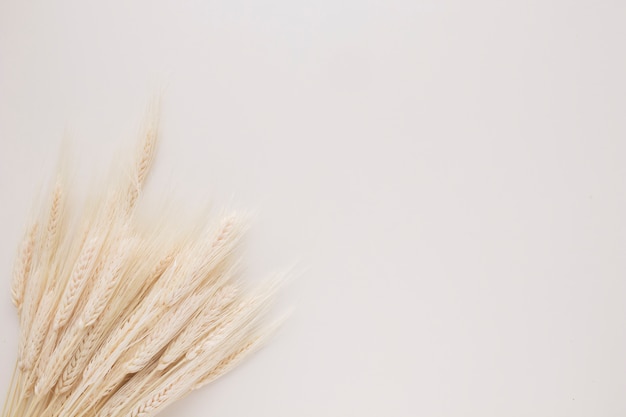 Foto manojo de muchas ramitas de trigo