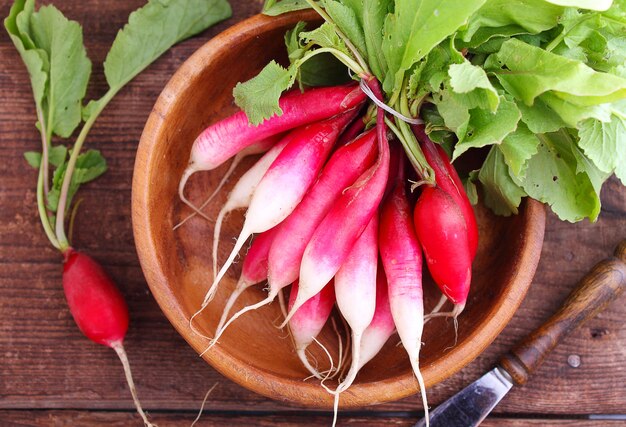 Manojo de un rábano rojo jardín con hojas verdes