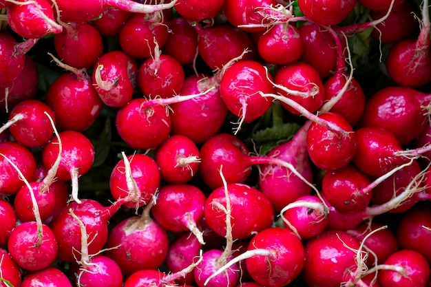 Manojo de rábanos rojos en el mercadoxA