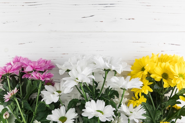 Foto manojo de rosa flores de crisantemo amarillo y blanco sobre fondo blanco con textura de madera