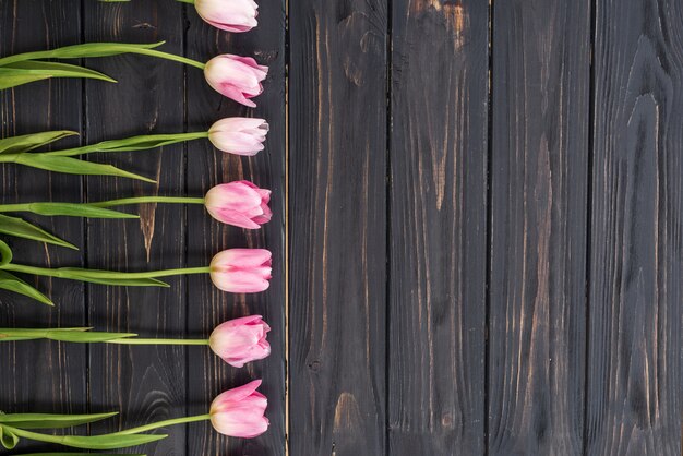 Manojo rosado de los tulipanes en el fondo de madera de los tablones del granero oscuro.