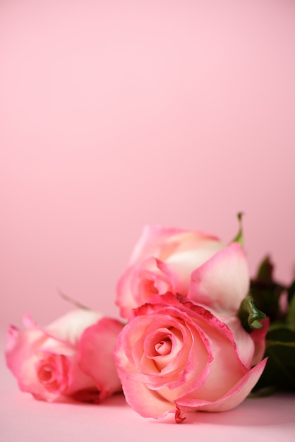 Manojo de rosas rosadas en fondo concreto. Sorpresa el día de san valentín, color suave en tonos. Copia espacio