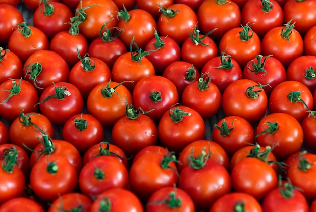 Un manojo de tomate fresco produce