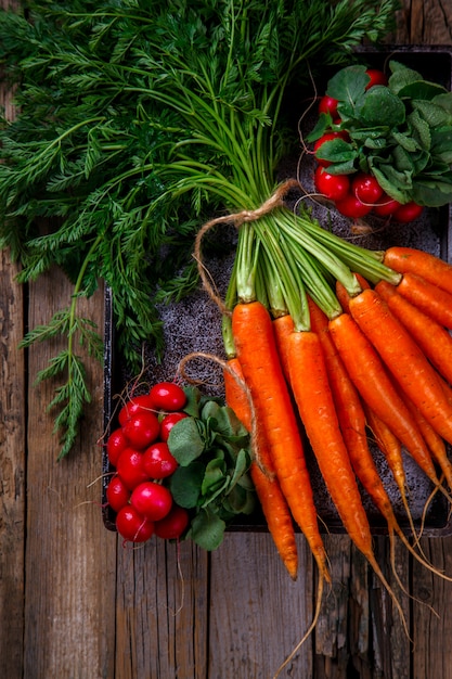 Manojo de zanahorias frescas con hojas verdes