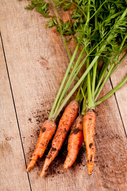 Manojo de zanahorias frescas