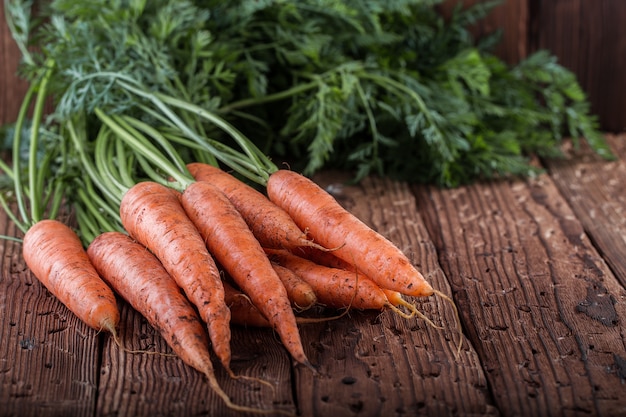 Manojo de zanahorias en la mesa rústica. Cosecha de hortalizas