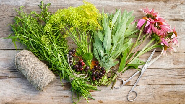 Manojos de hierbas medicinales equináceas tijeras vista superior Medicina herbal alternativa
