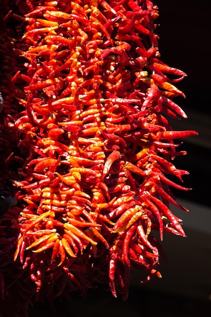 Manojos de pimientos rojos secos al sol