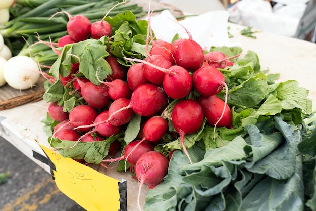 Manojos de rábanos en el mercado de un agricultor