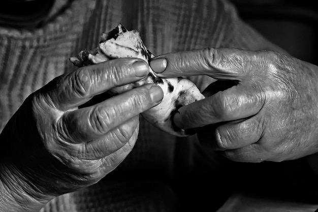 Manos de la abuela sosteniendo un panqueque foto en blanco y negro