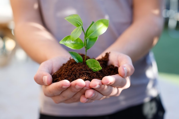 Las manos de los adolescentes plantan plántulas en el suelo Crecimiento de plantas jóvenes de nueva vida Ecología Tu Bishvat BShevat concepto