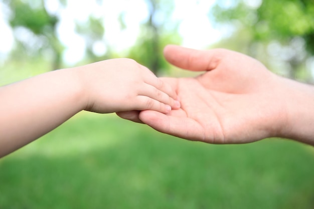 Manos de adultos y niños sobre fondo natural