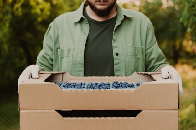 Las manos del agricultor masculino toman y sostienen una caja de cartón de una pila llena de contenedores de plástico con arándanos