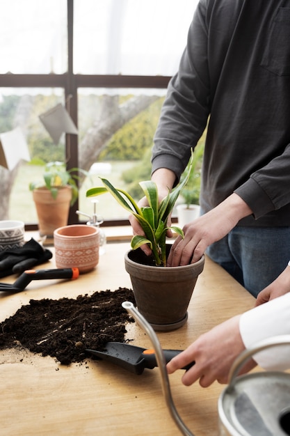 Manos de alto ángulo trasplantando plantas.