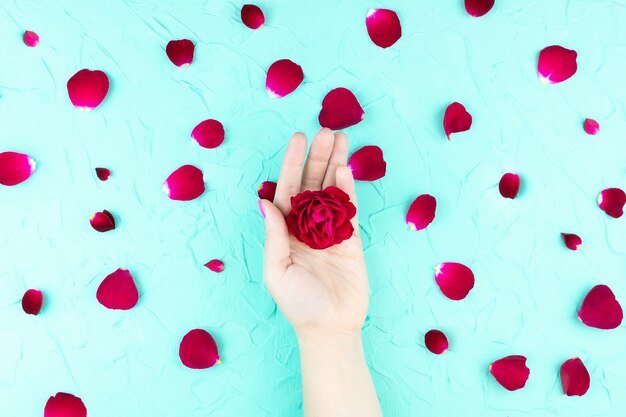 Manos de belleza con flores de maquillaje