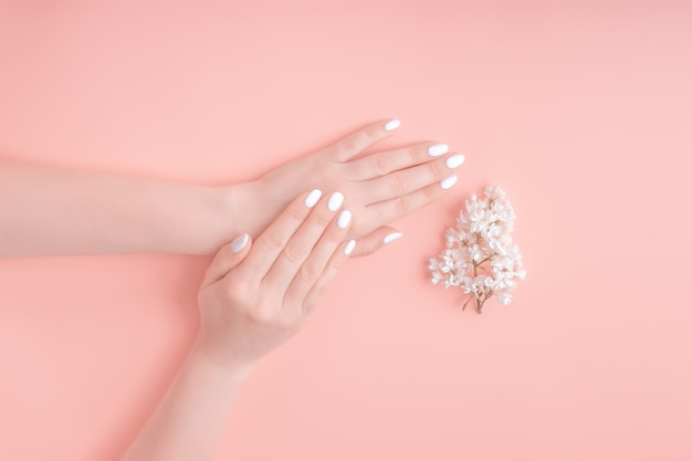 Las manos de la belleza de una mujer con las flores blancas miente en la tabla, fondo rosado. Producto cosmético natural y cuidado de manos, hidratación y reducción de arrugas, cuidado de la piel