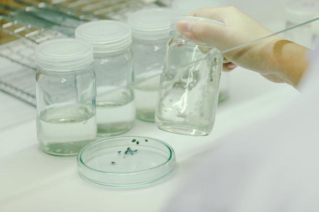 Foto las manos de los científicos vertiendo disolvente en las botellas