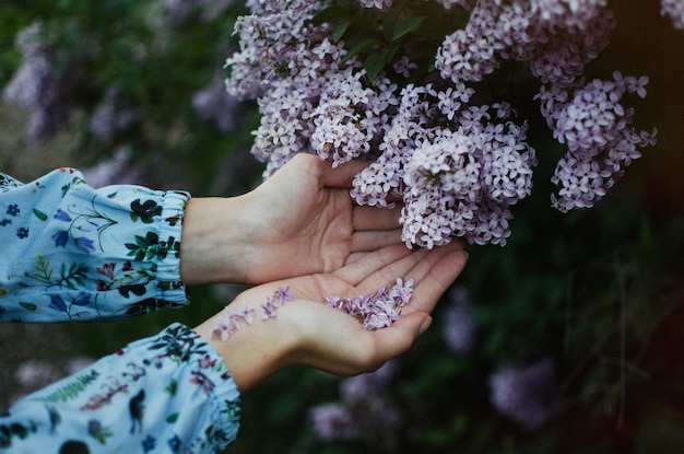 Manos en copas debajo de flores púrpuras