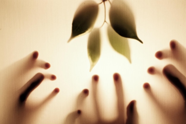 Foto manos cortadas alcanzando la planta por la ventana