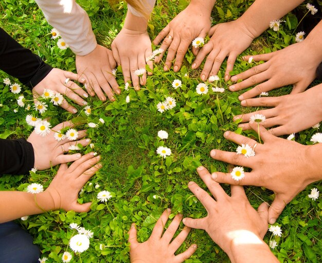 Las manos cortadas de los amigos en el campo de hierba