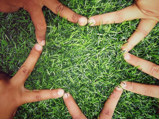 Foto manos cortadas haciendo forma de estrella en el campo cubierto de hierba