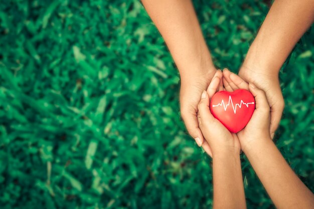 Foto manos cortadas de una mujer con forma de corazón