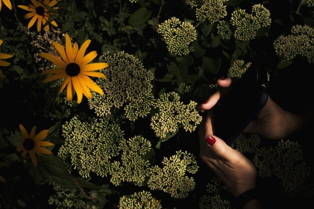 Foto manos cortadas de una mujer en medio de plantas