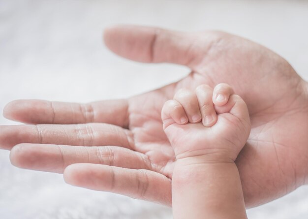 Manos cortadas de los padres y el bebé