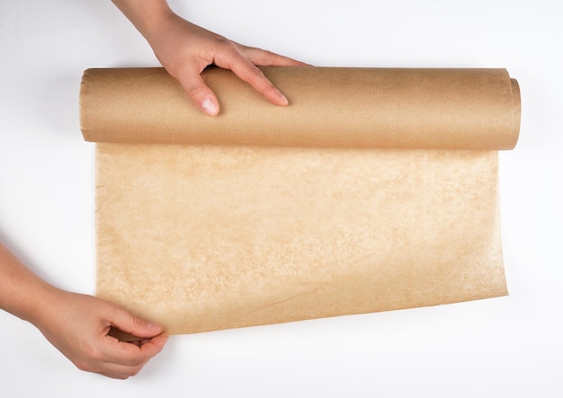 Manos cortadas de una persona sosteniendo papel contra un fondo blanco