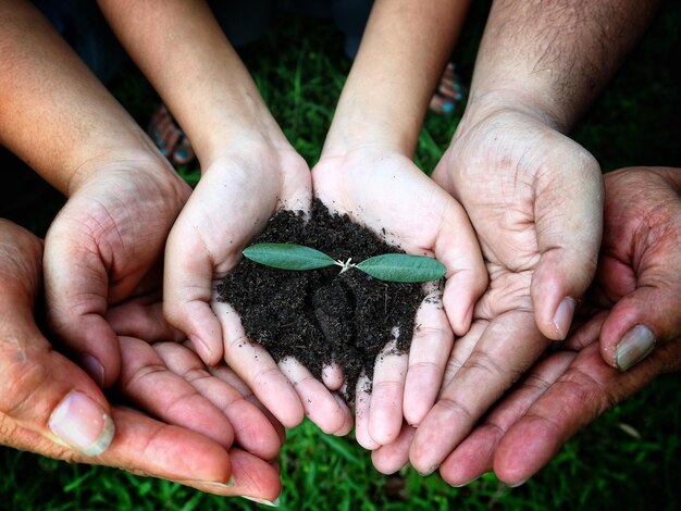 Foto manos cortadas con plantas y tierra