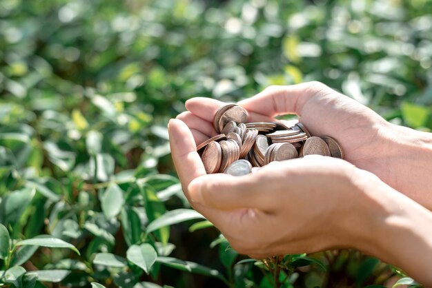 Foto manos cortadas sosteniendo monedas sobre plantas