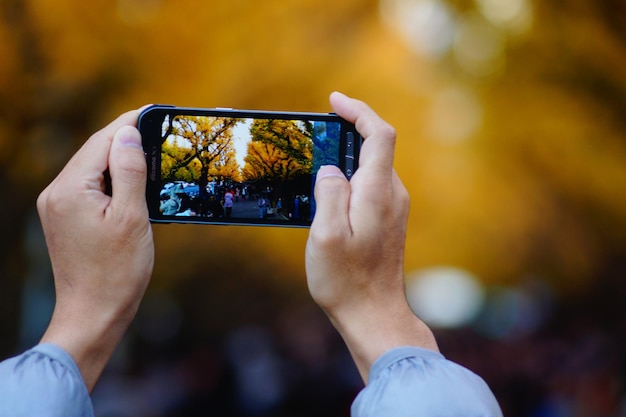 Manos cortadas con teléfono móvil