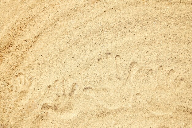 Manos dibujadas en el fondo de arena de la playa.