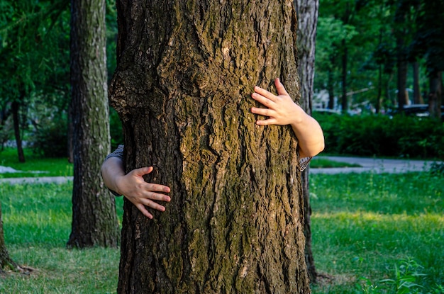 Manos femeninas abrazan un gran tronco de árbol en el parque de la ciudad Cuidando la ecología del intercambio de energía de la naturaleza