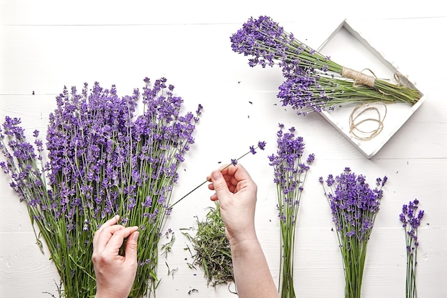 Manos femeninas clasificar flores para hacer un ramo de flores frescas de lavanda, mesa blanca, endecha plana