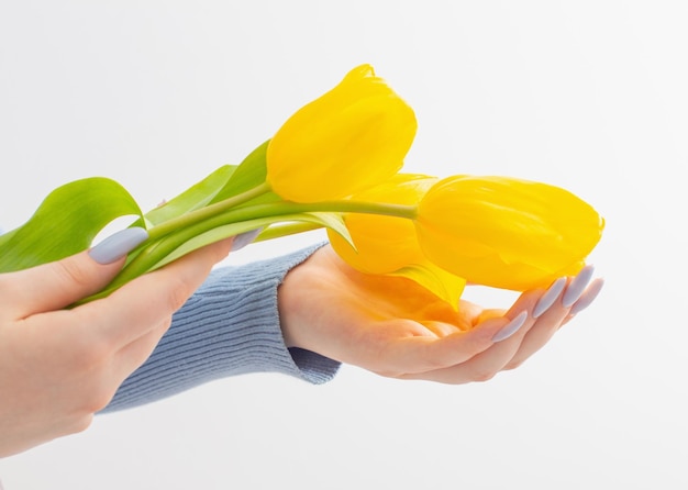 Manos femeninas con hermosas flores de manicura y tulipanes sobre fondo blanco.