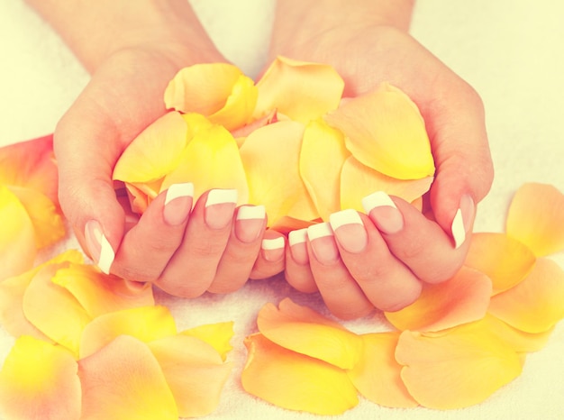 Manos femeninas con manicura francesa perfecta sosteniendo pétalos de rosas Color vintage