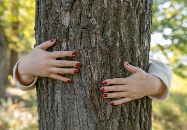 Manos femeninas con manicura roja en el tronco de un árbol En el parque al aire libre