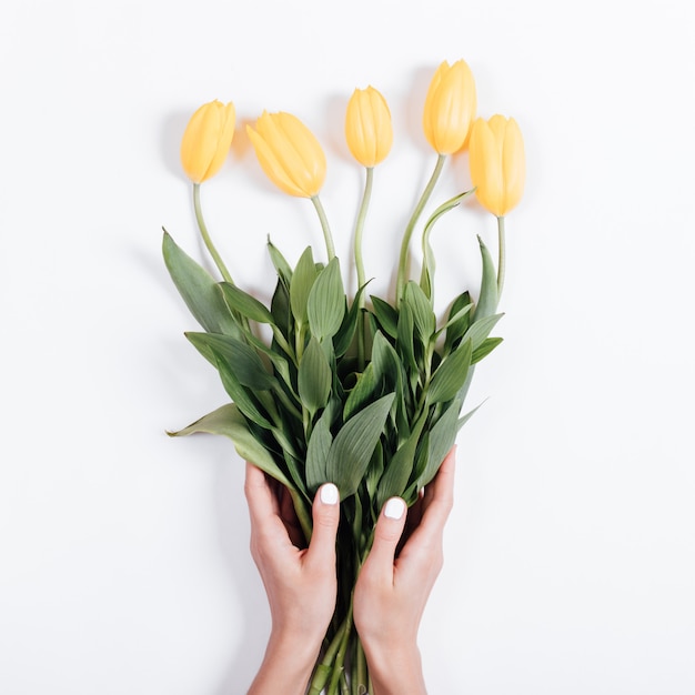 Manos femeninas con manicura sosteniendo un ramo de tulipanes amarillos sobre un fondo blanco