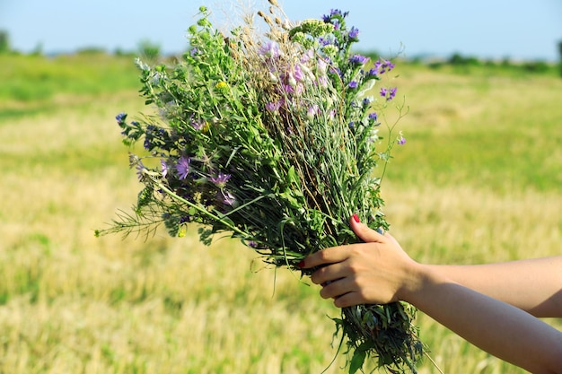 Manos femeninas con ramo de flores silvestres sobre fondo de campo