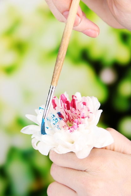 Manos femeninas sosteniendo flor blanca y pintarla con colores, en brillante