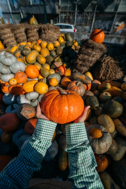 Las manos femeninas sostienen una calabaza pequeña