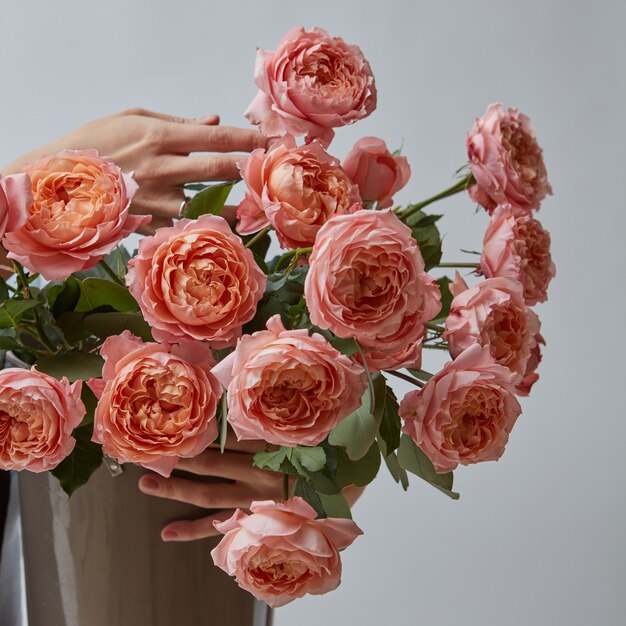 Manos femeninas sostienen un jarrón con rosas rosadas sobre un fondo gris, un regalo para el día de la mujer