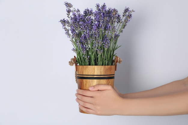 Manos femeninas sostienen lavanda en cubo de madera