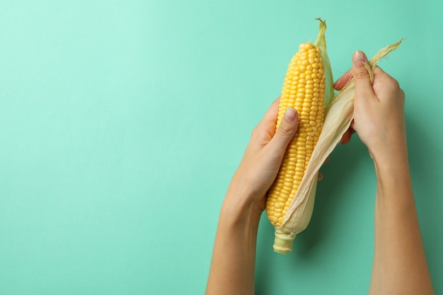 Manos femeninas sostienen maíz crudo sobre fondo de menta